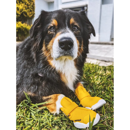 Rifruf Set of 2 Breathable Non‑Slip Pet Sneaker – Lightweight Paw Protection Sneakers for Dogs & Cats