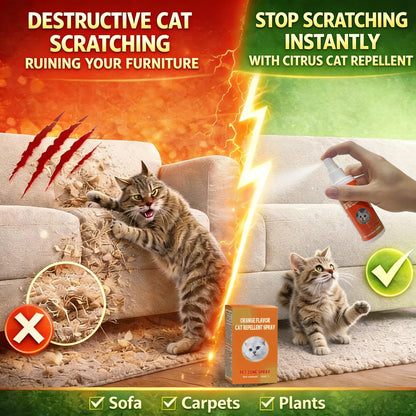 Cat Deterrent Spray for Indoor and Outdoor, Cat Scratch Deterrent for Furniture Protection, anti Marking Deterrent for Sofas and Carpet, Natural Ingredients (100 Ml*2)